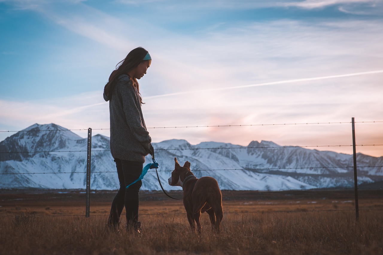 dog, girl, fence, pet, owner, companion, friend, nature, friendship, field, landscape, mountain, outdoors, woman, animal, young woman, walk the dog, leash, dog leash