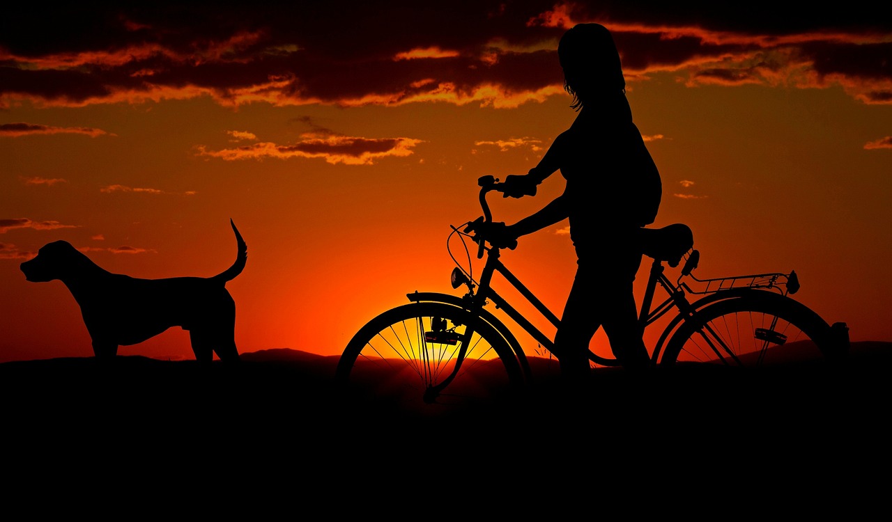 woman, nature, bike, animal, sunset, walk, silhouettes, girl, dog, pet, owner, travel, dusk, twilight, backlighting, orange sky, afterglow