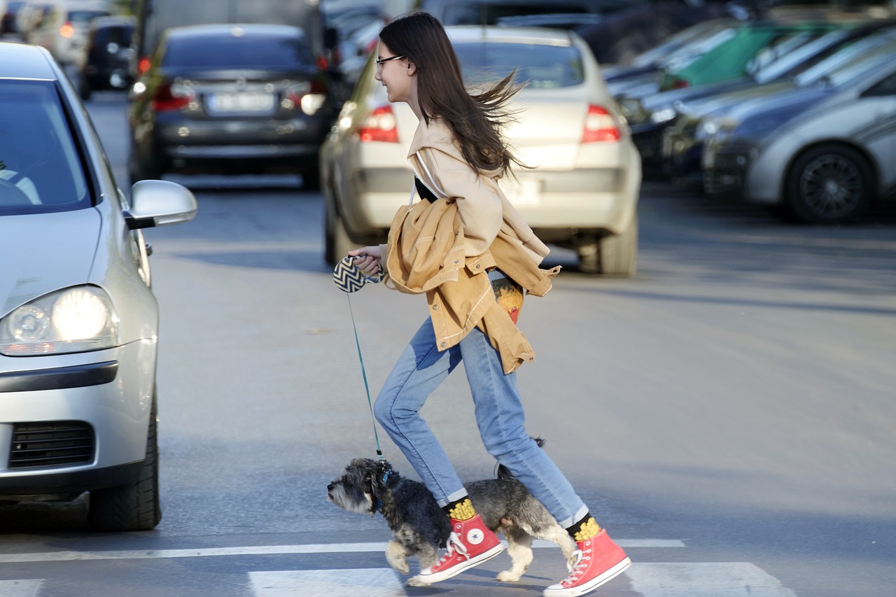 girl, child, teenager, dog, company, pet, small, leash, animal, running, pass, pedestrians, street, cars, traffic, urban, city