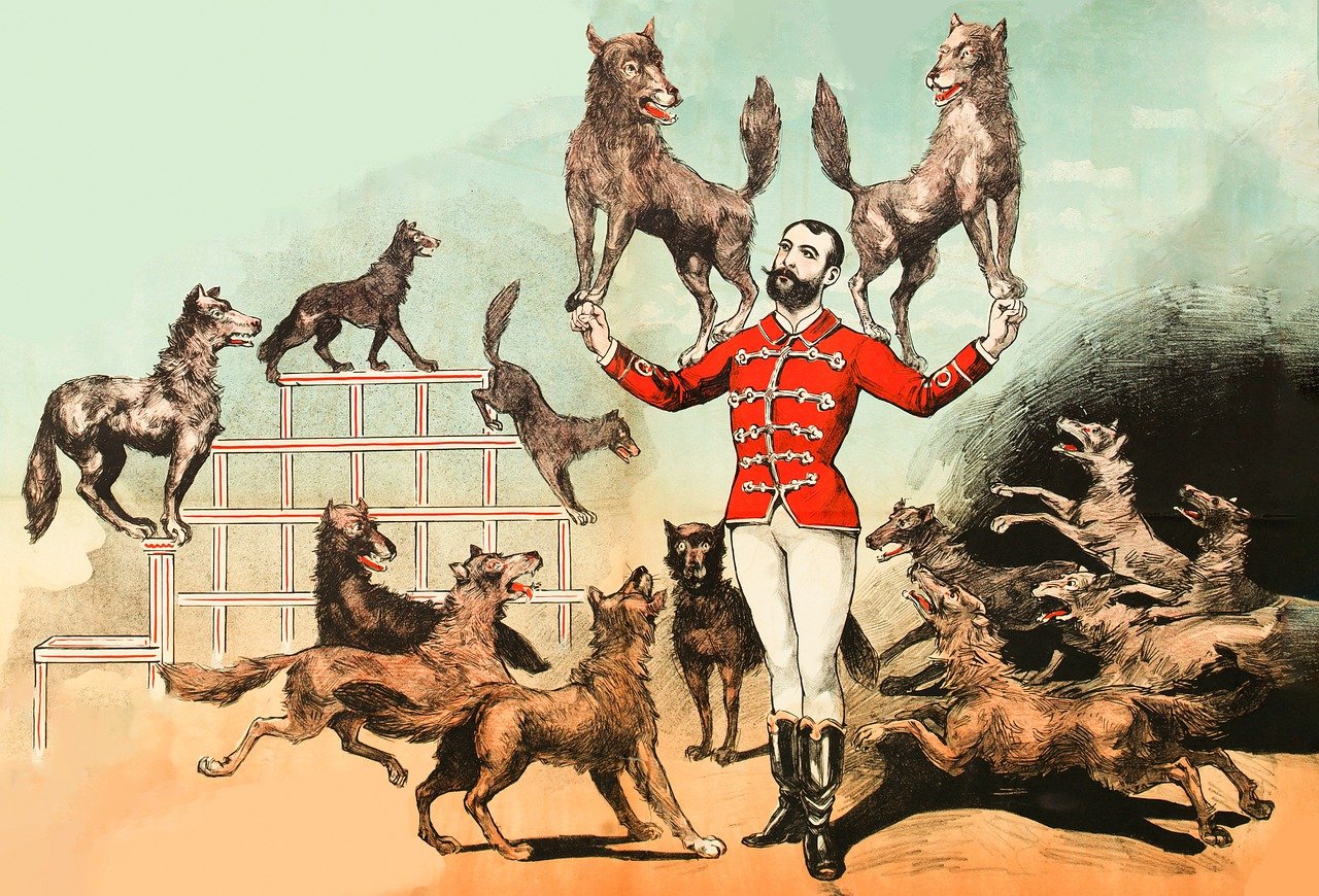 wolves, trainer, dogs, coyotes, animals, circus, entertainment, hounds, man, show, person, nature, vintage, herder, dog trainer, cartoon, performance, tricks, wolf, performer, male, talented, coordination