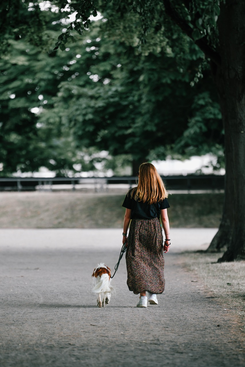 woman, pet, dog, animal, walk, pooch, dog leash, domestic animal